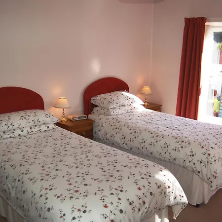 Kingstarn * 凯西克